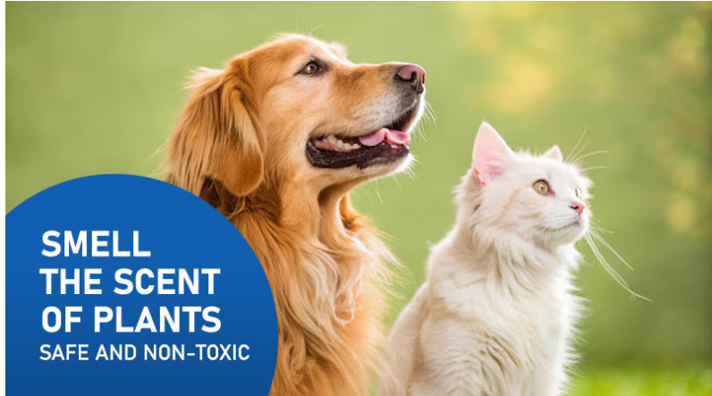 Cat Dog Pet Deodorant Spray Indoor Urine Removal Freshener